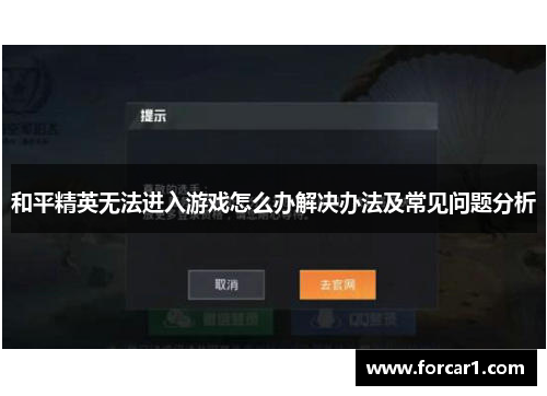 和平精英无法进入游戏怎么办解决办法及常见问题分析